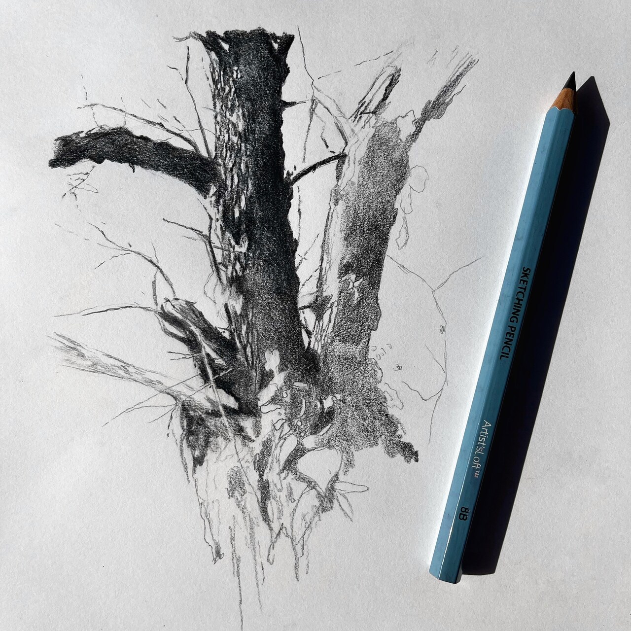 Tree Studies, part I