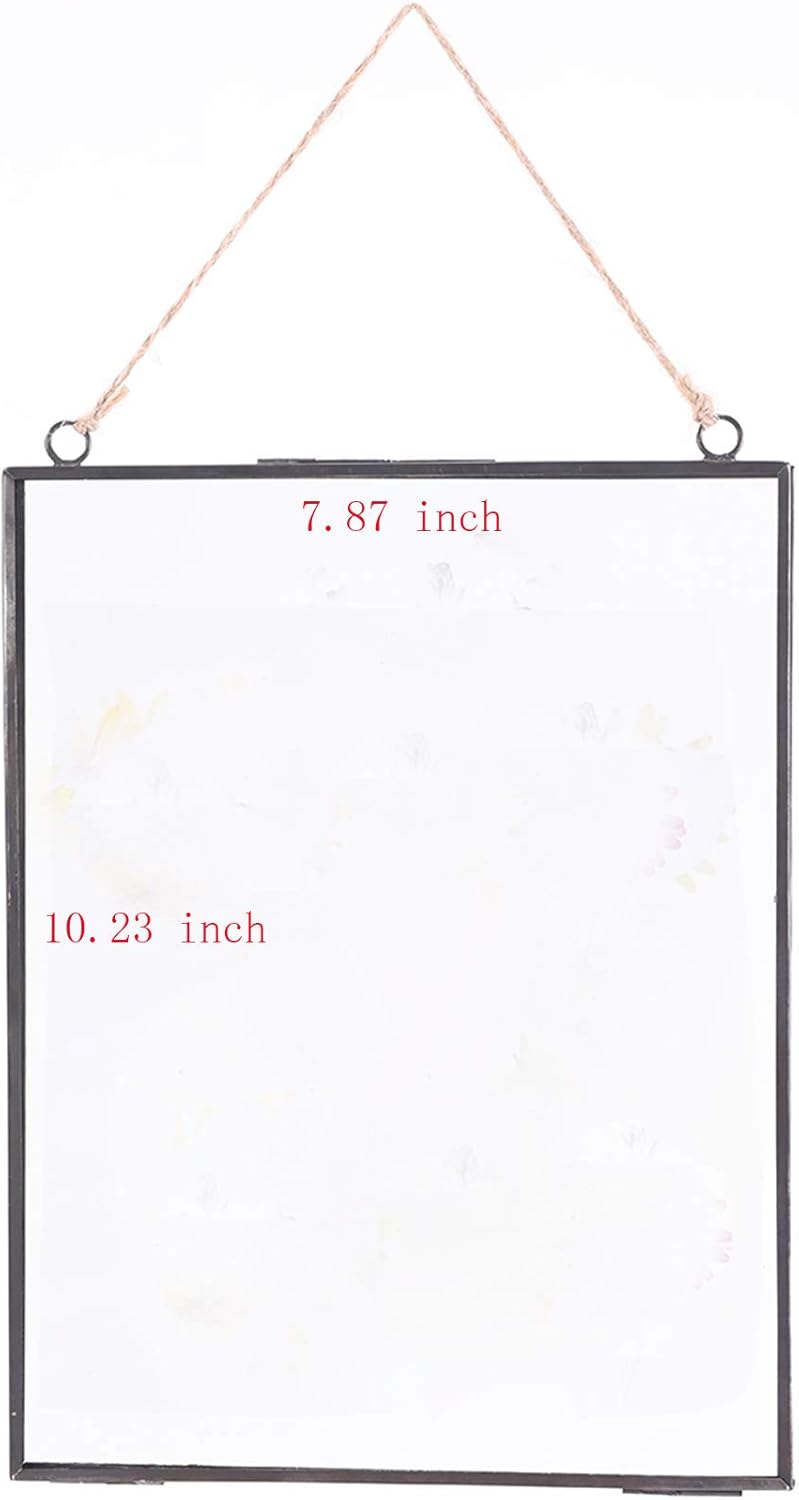 Glass Frame for Pressed Flowers, Wall Floating Brass Picture Frame for Pressed Flower, 11 x 8 Inch Large Copper Double Glass Photo Frame, Hanging Frame for Artwork Certificate Display(Black)