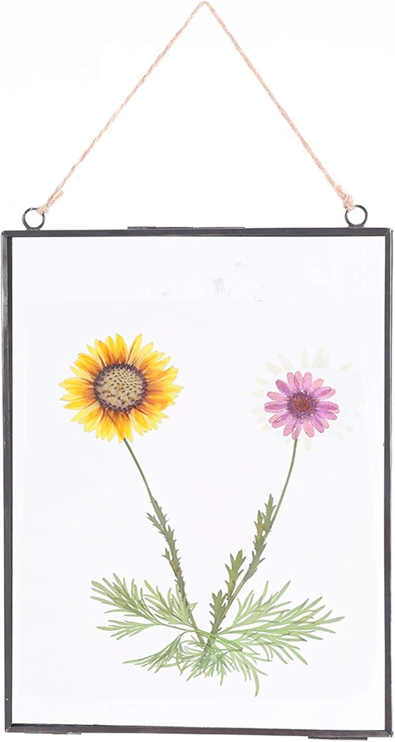 Glass Frame for Pressed Flowers, Wall Floating Brass Picture Frame for Pressed Flower, 11 x 8 Inch Large Copper Double Glass Photo Frame, Hanging Frame for Artwork Certificate Display(Black)