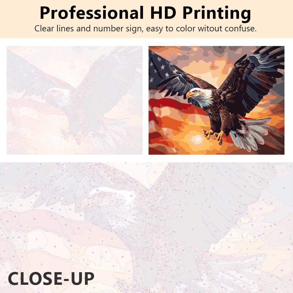 DIY Paint-by-Number Kit featuring a white-headed eagle with the U.S. flag, designed for adult beginners on 16×20 inch canvas.