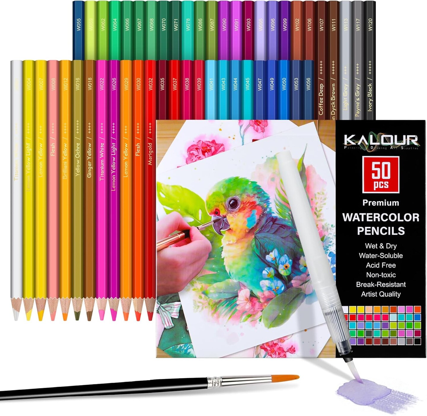 Watercolor Pencils,50 Colors, Blendable Wet or Dry, Ideal for Coloring Books and Art