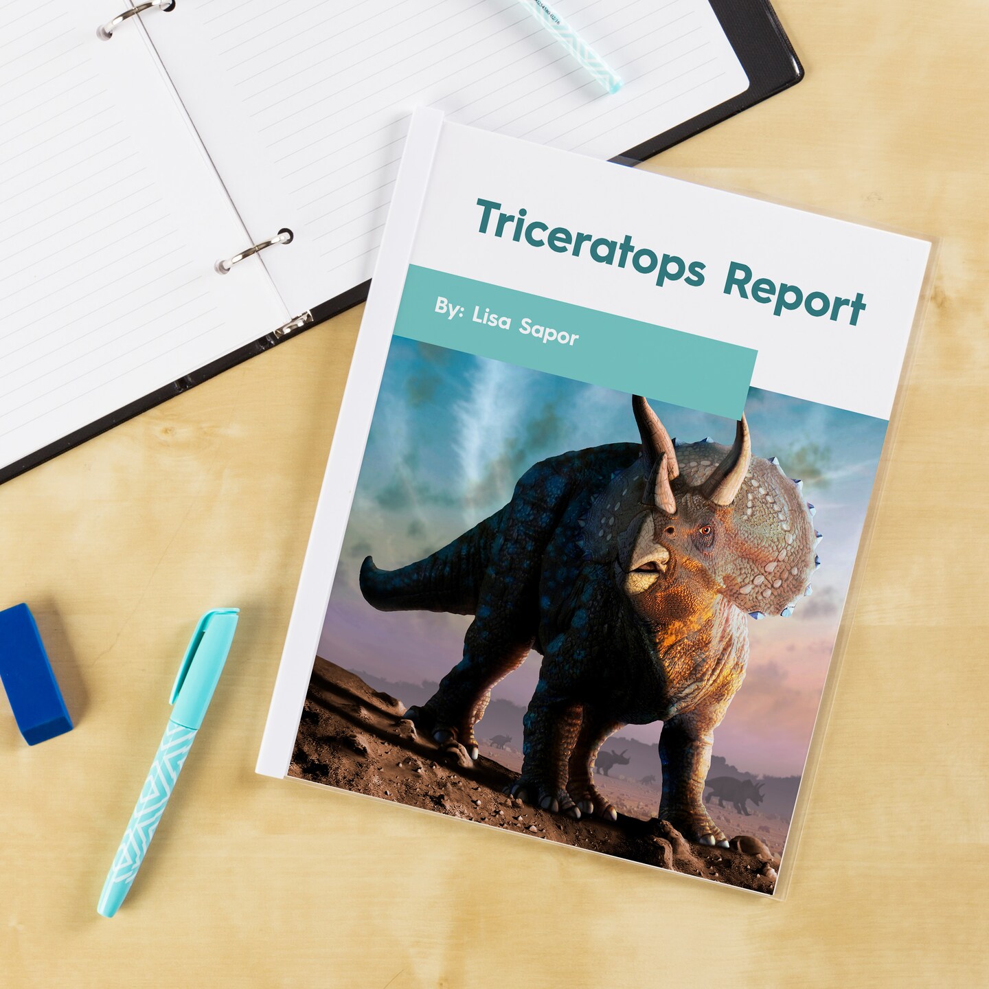 Avery Clear Report Covers with Sliding Bars, White Binding Bars, Holds up to 20 Sheets, 50 Report Covers (47710)