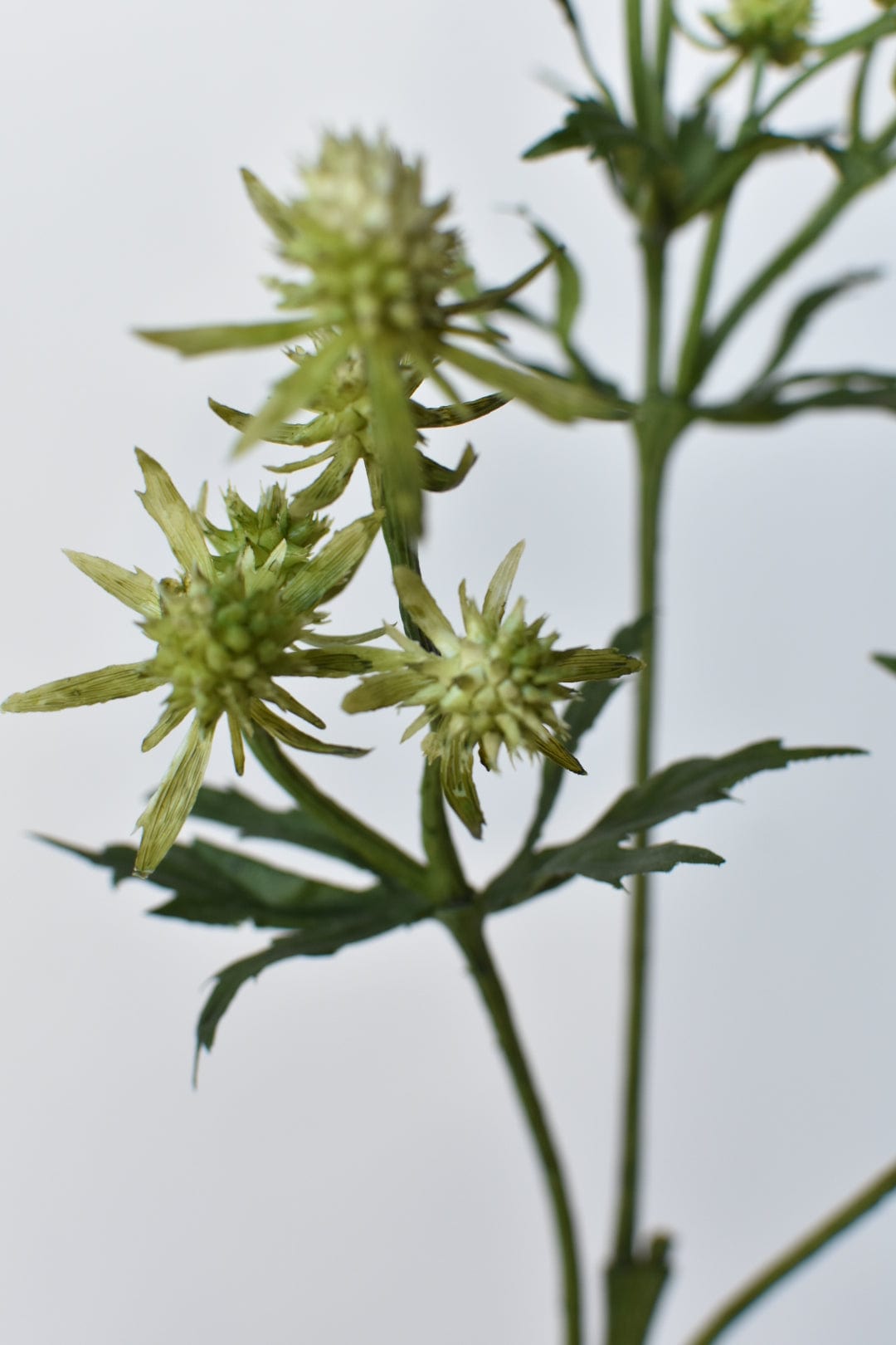 25&#x22; Faux Thistle Stem - Green