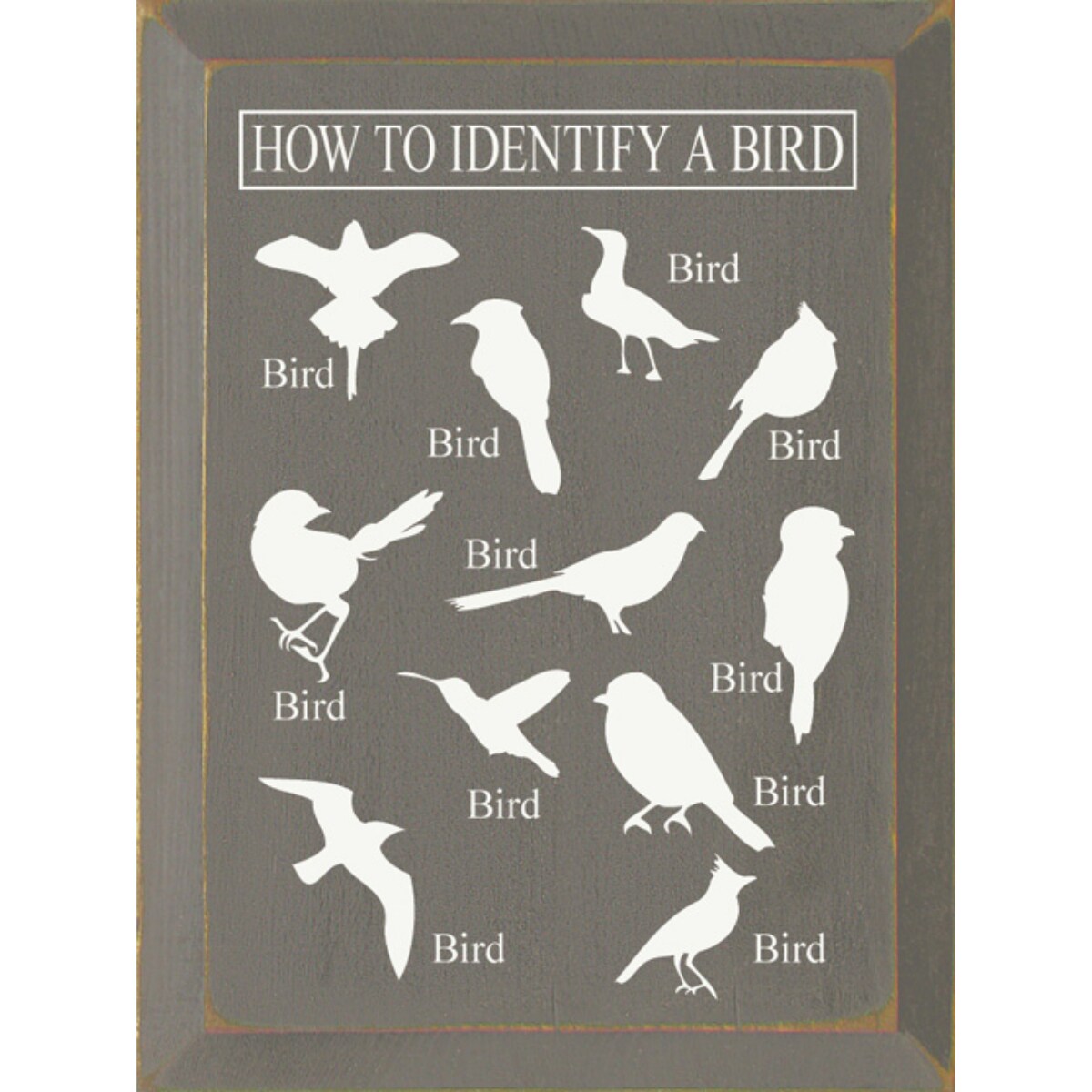 Solid Knotty Pine Bird Identification Sign - Wall Decor with Bird Images
