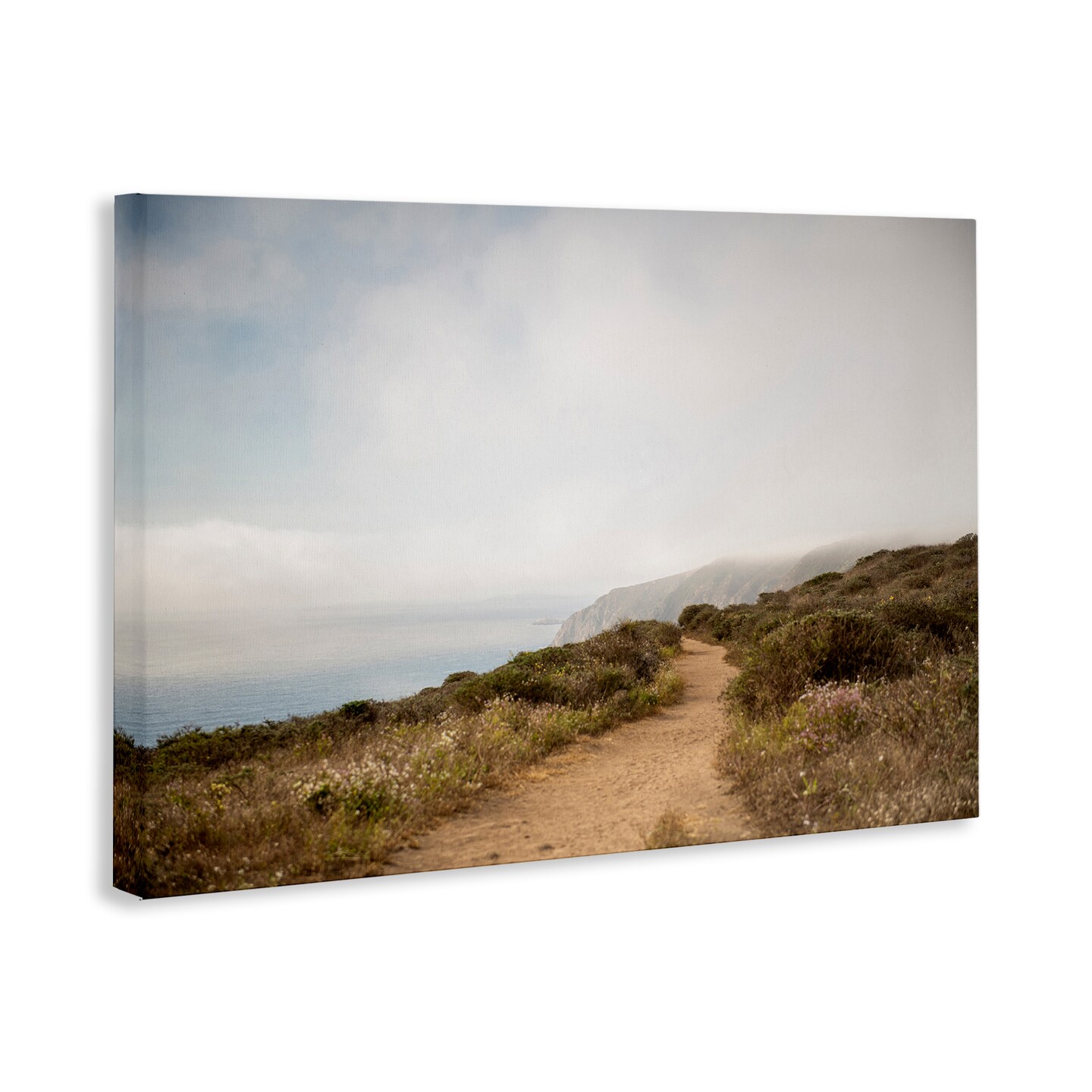 Stupell Industries Wild Coast Pathway Canvas Wall Art Design by Crystal Lynn Collins