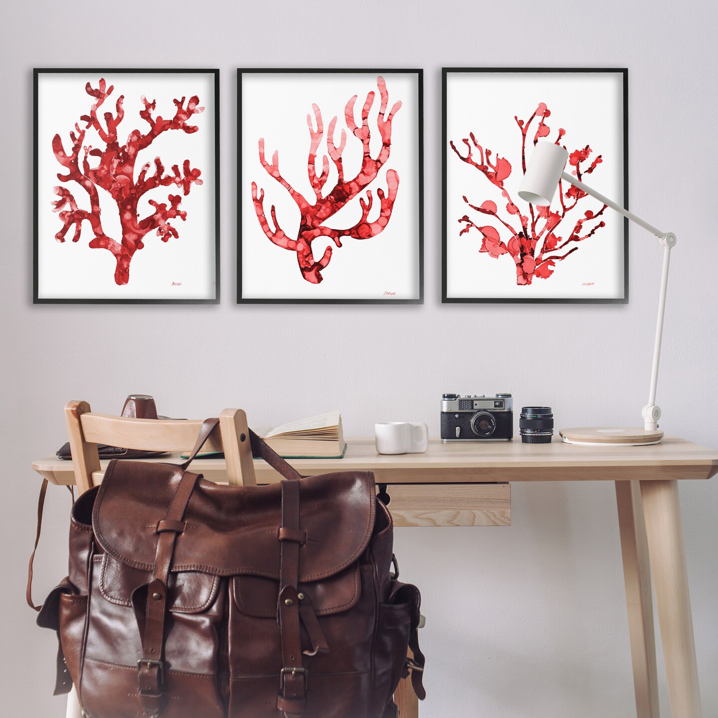 Stupell Industries Bold Red Coral 3pc Framed Giclee Wall Art Set Design by Patti Mann