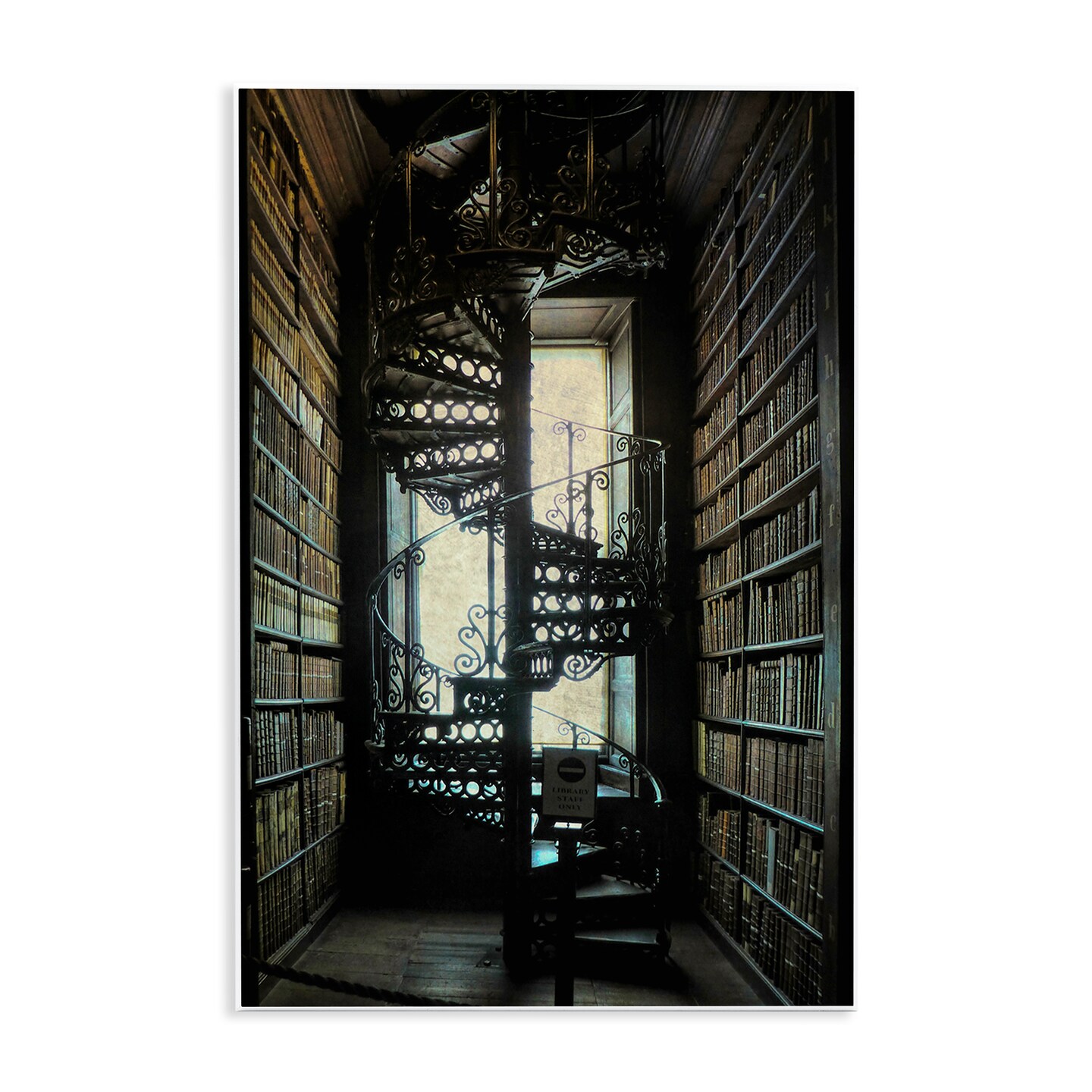 Stupell Industries Vintage Library Spiral Stairs Wall Plaque Art Design by Graffi*tee Studios
