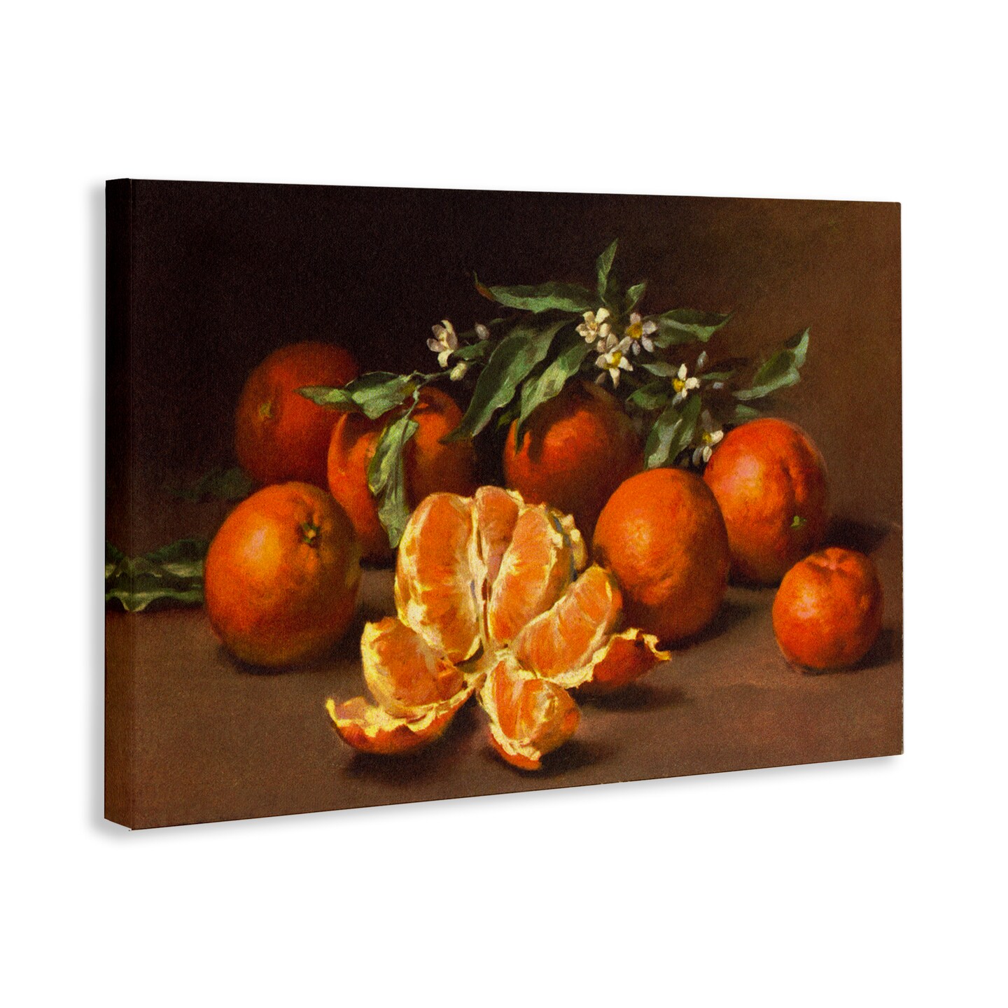 Stupell Industries Peeled Oranges Still Life Canvas Wall Art Design by Tina Higgins Designs, Inc.