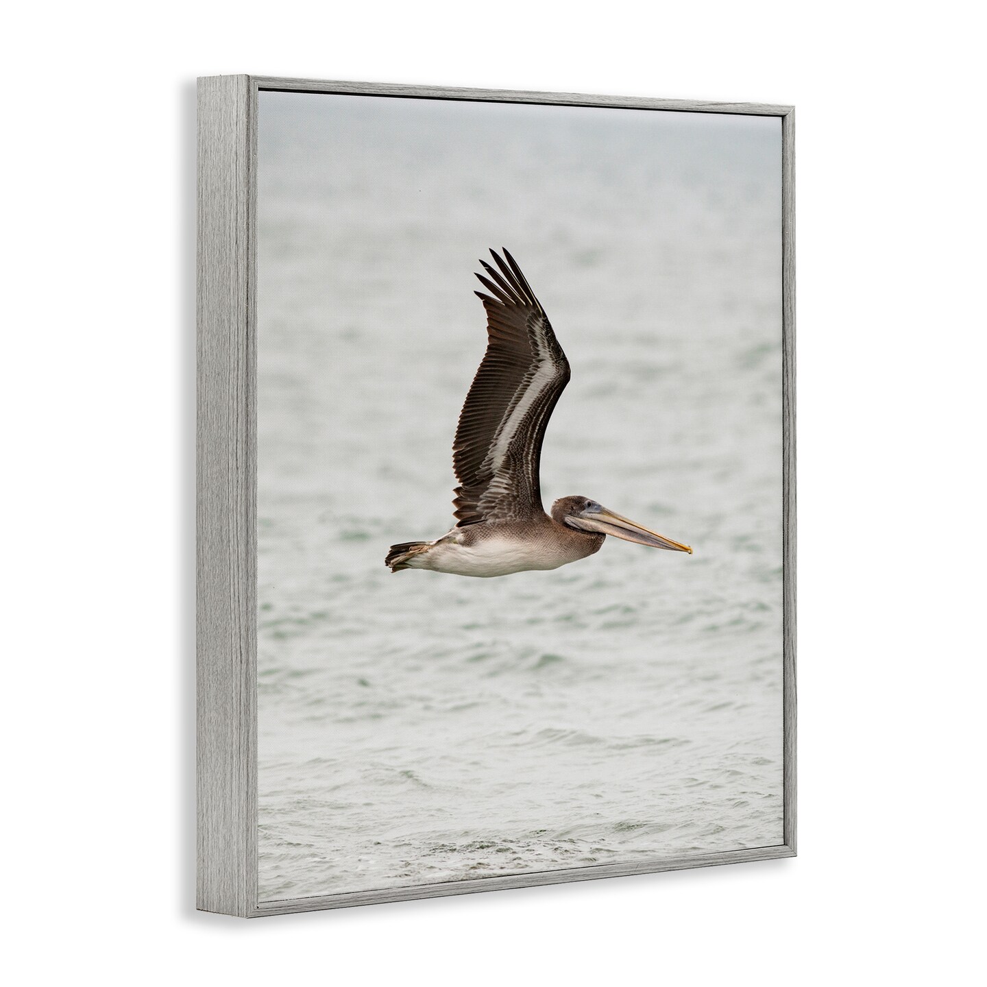 Stupell Industries Pelican Over Sea Framed Giclee Wall Art Design by Crystal Lynn Collins