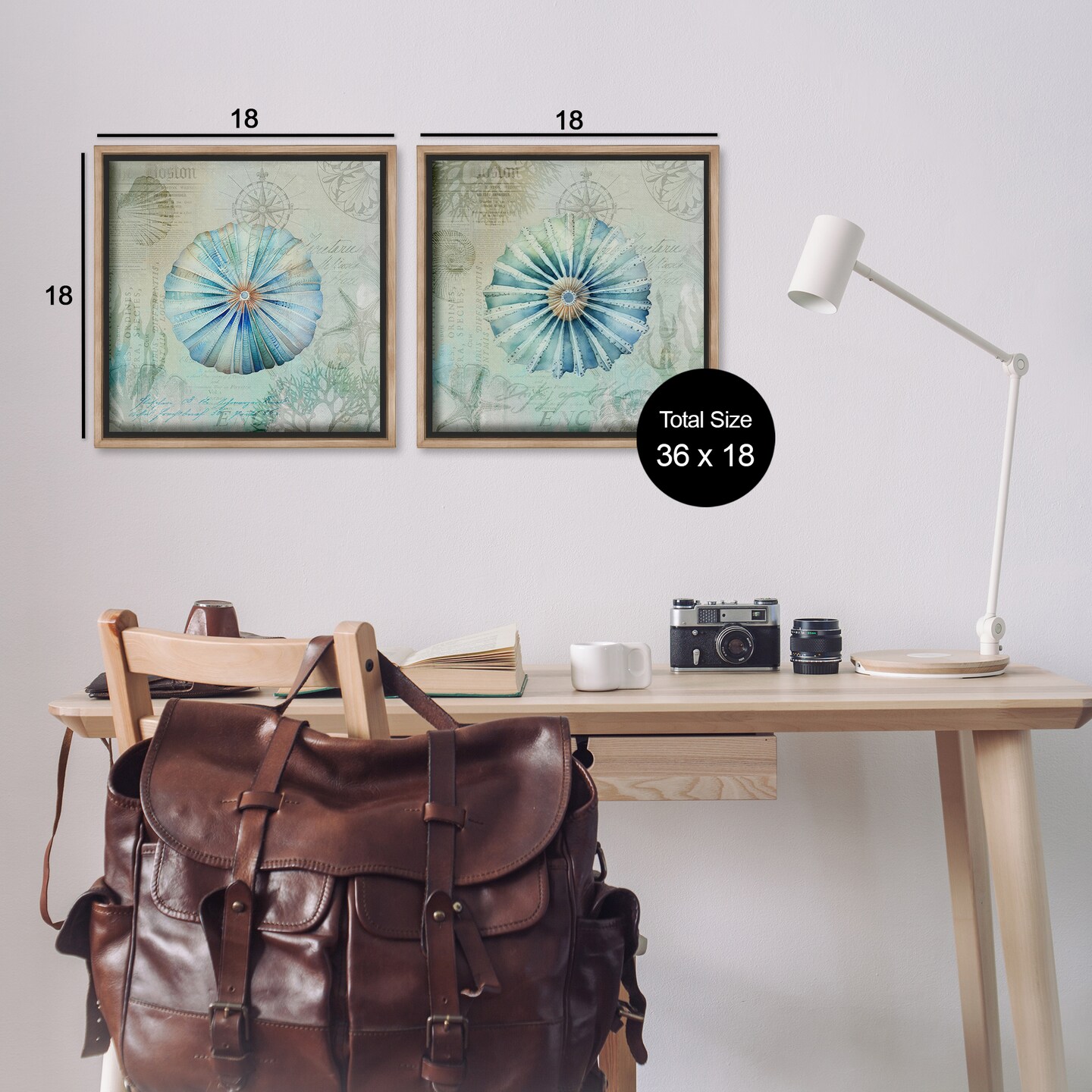 Stupell Industries Vintage Blue Sea Urchins 2pc Floater Framed Canvas Wall Art Set Design by Andrea Haase 