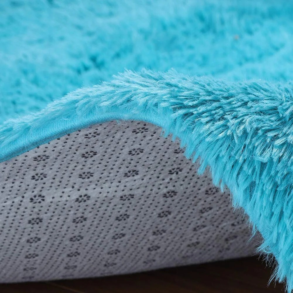 Soft Fluffy Thick Indoor Rug for Home Decor Living Room Bedroom