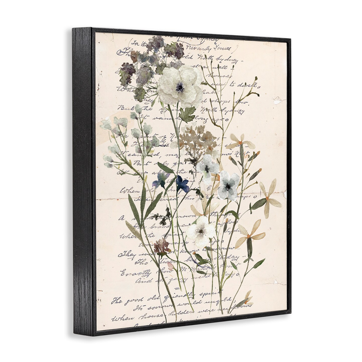 Stupell Industries Vintage Pressed Flowers Framed Giclee Wall Art Design by Carol Robinson