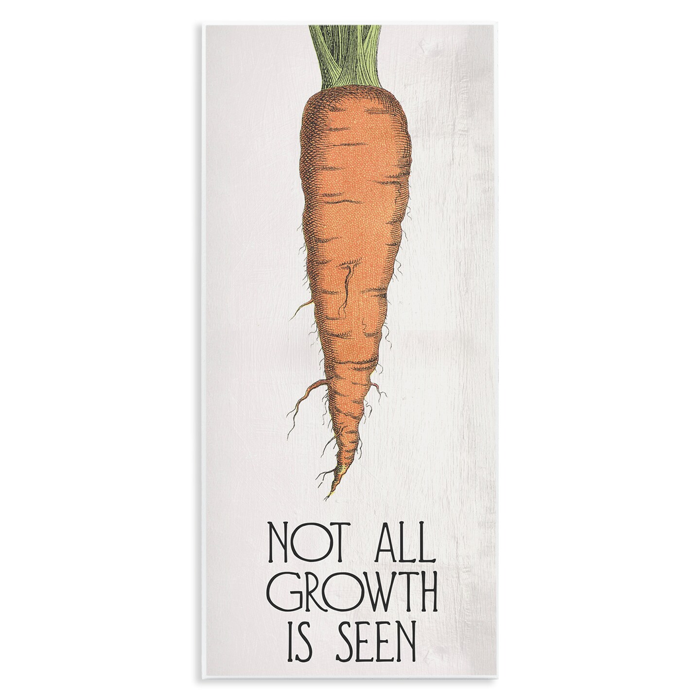 Stupell Industries Carrot & Inspiring Growth Wall Plaque Art Design by Daphne Polselli