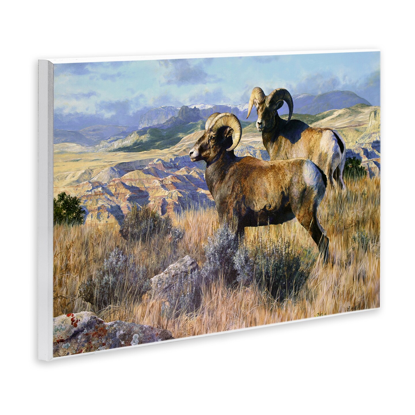 Stupell Industries Wild Rams Torrey Canyon Wall Plaque Art Design by Mark Kelso