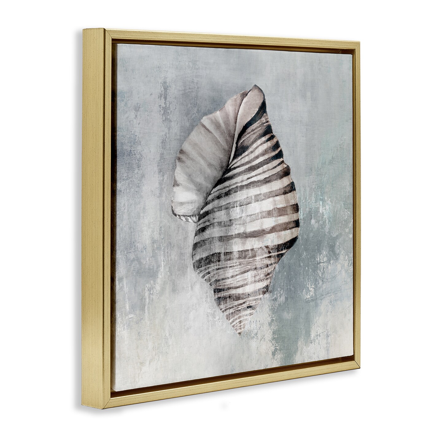 Stupell Industries Organic Twisted Seashell Floater Framed Canvas Wall Art Design by Eli Jones