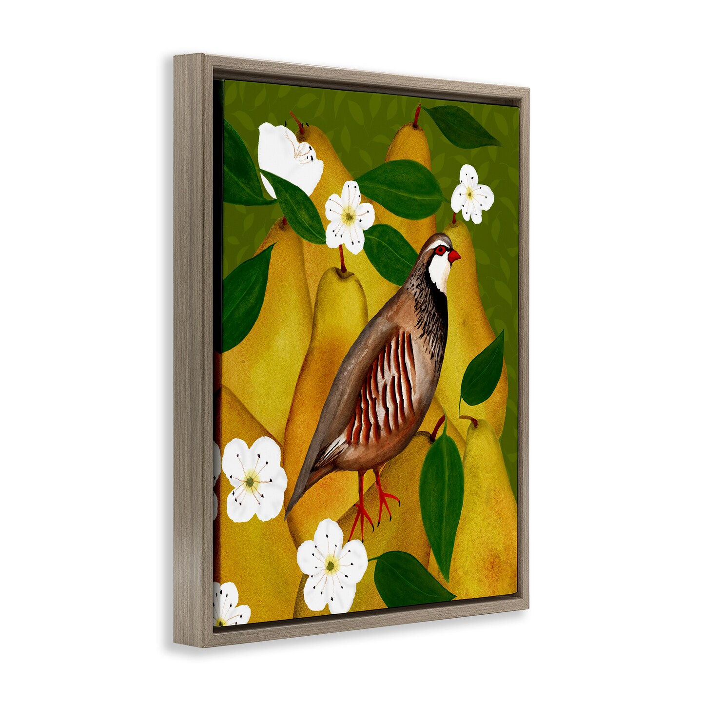 Stupell Industries Partridge Bird & Pears Floater Framed Canvas Wall Art Design by Michelle Ingari Designs