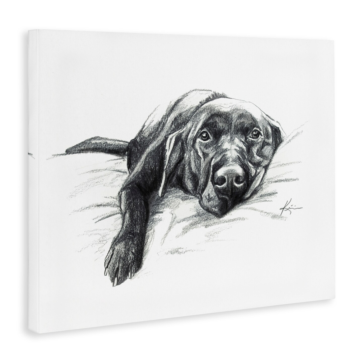 Stupell Industries Naptime Black Labrador Canvas Wall Art Design by Lindsay Kivi Fine Art