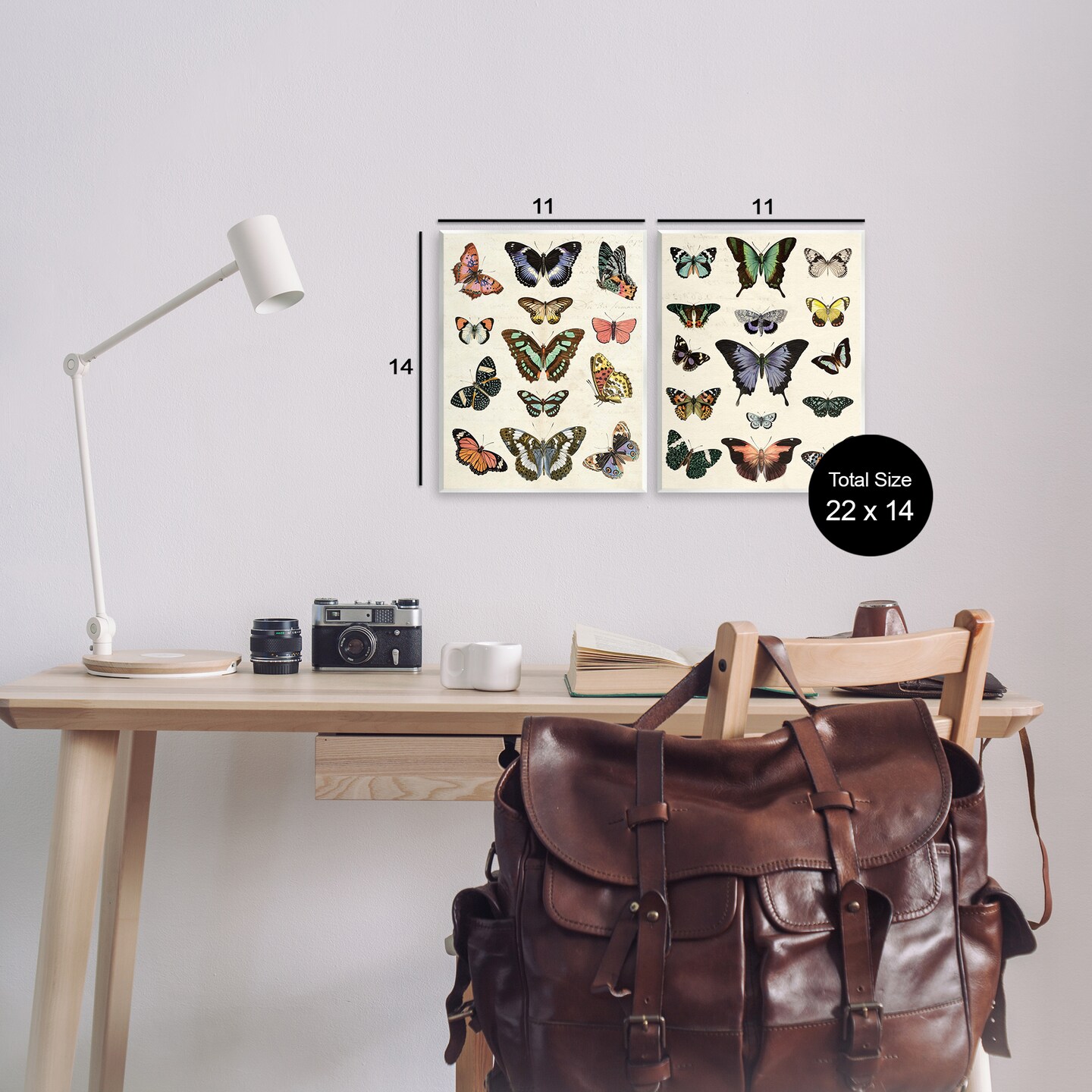 Stupell Industries Antique Butterfly Collection 2pc Wall Plaque Art Set Design by Susan Arnot