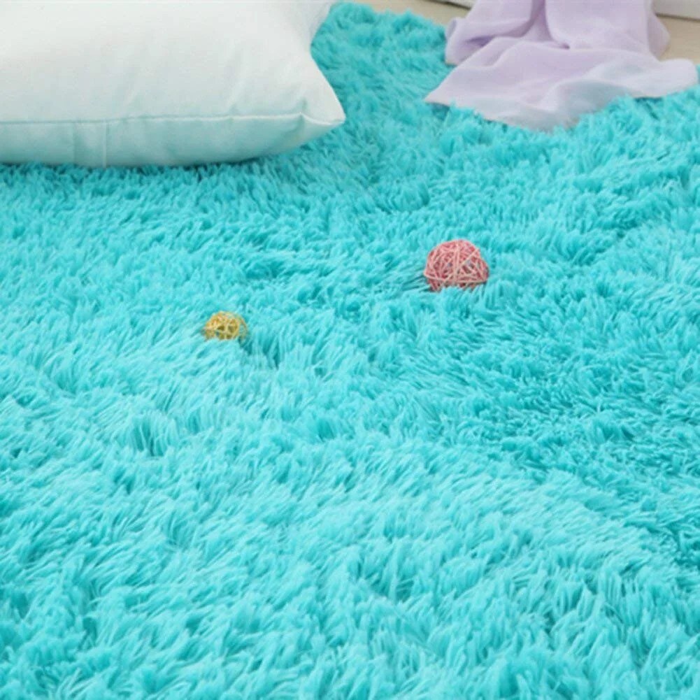 Soft Fluffy Thick Indoor Rug for Home Decor Living Room Bedroom