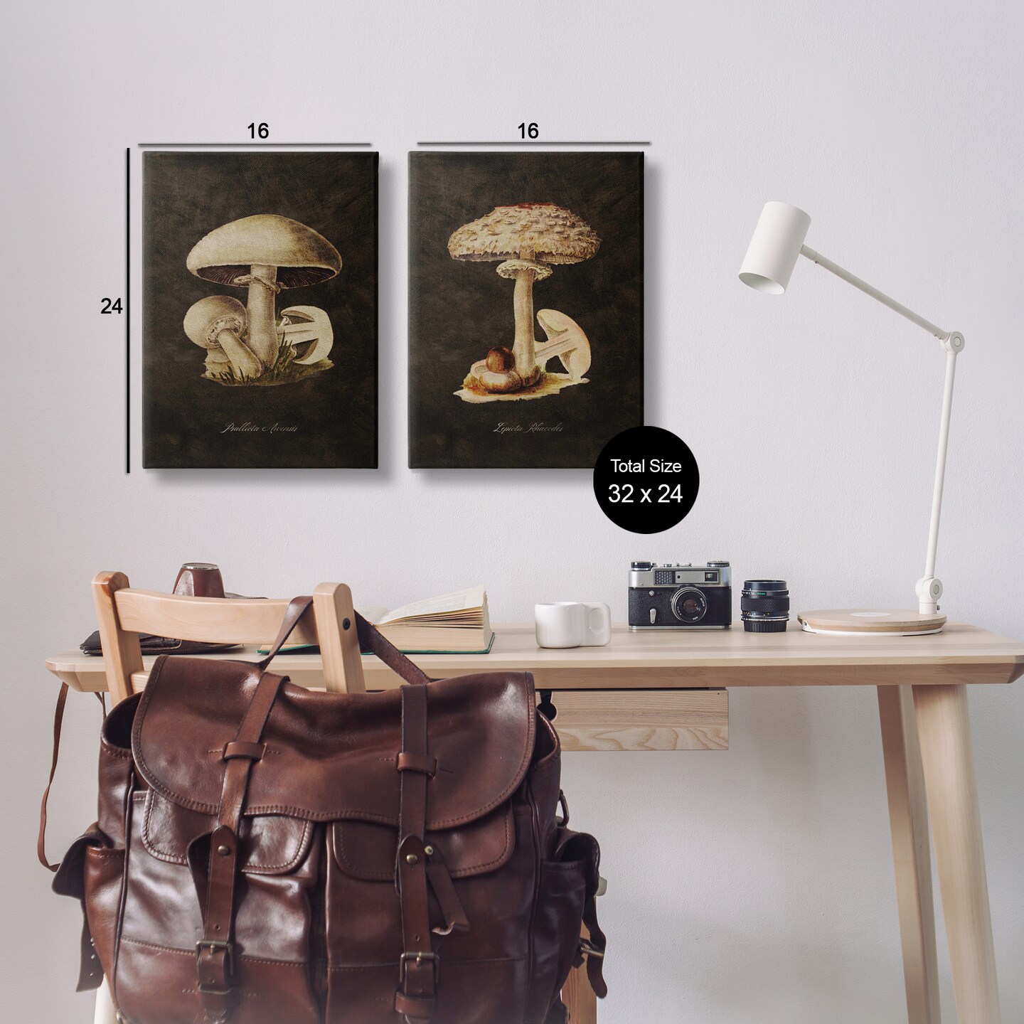 Stupell Industries Vintage Mushrooms on Black 2pc Canvas Wall Art Set Design by Tina Higgins Designs, Inc.