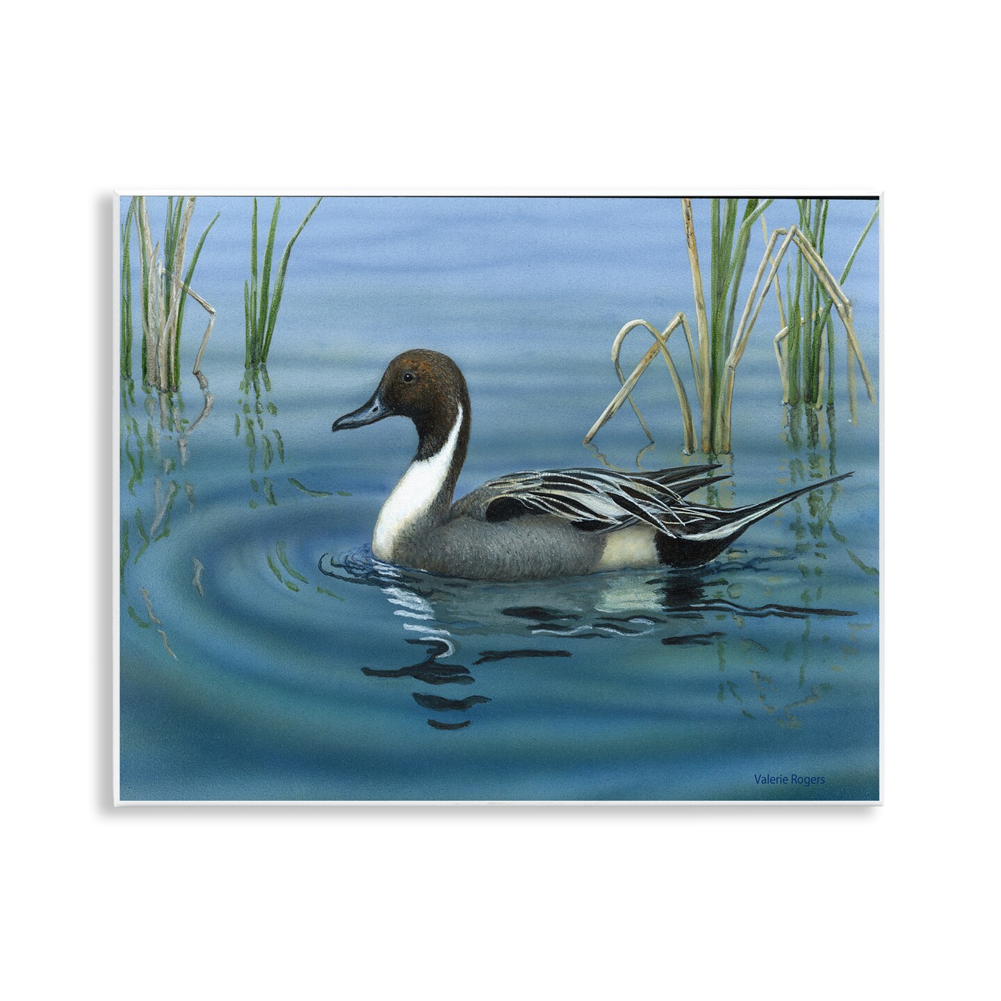Stupell Industries Pintail Loon in Pond Wall Plaque Art Design by Valerie Rogers