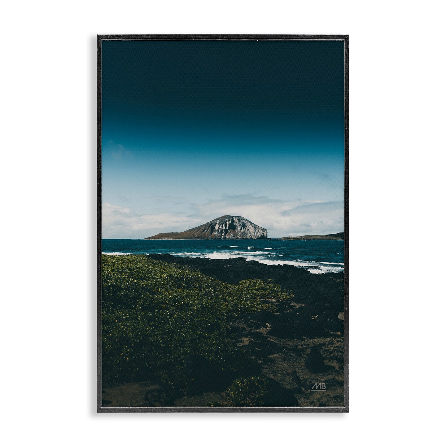 Stupell Industries Hawaiian Rocky Shore Framed Giclee Wall Art Design by Max Blakesberg Studios
