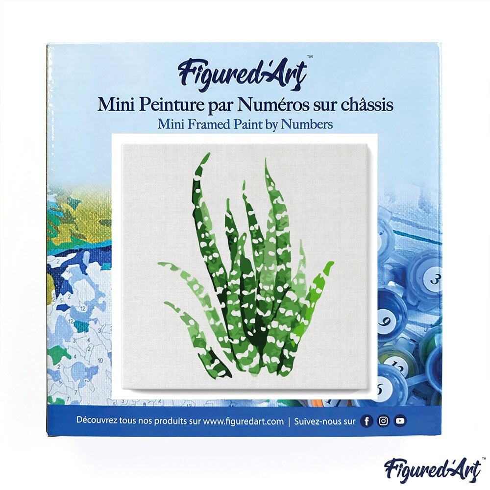 Figured'Art Mini Paint by Numbers Kit for Adults with Frame Abstract Aloe Vera Plant Small format 8"x8" - Craft Art Painting DIY Canvas Already Stretched on a Wooden Frame