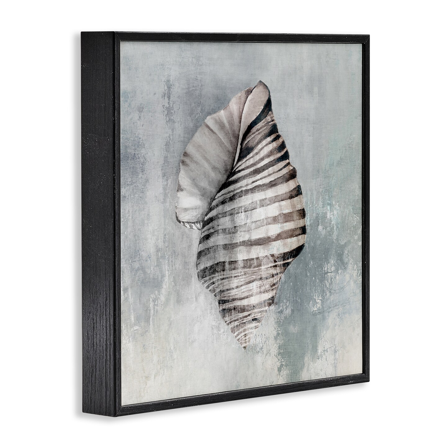 Stupell Industries Organic Twisted Seashell Framed Giclee Wall Art Design by Eli Jones