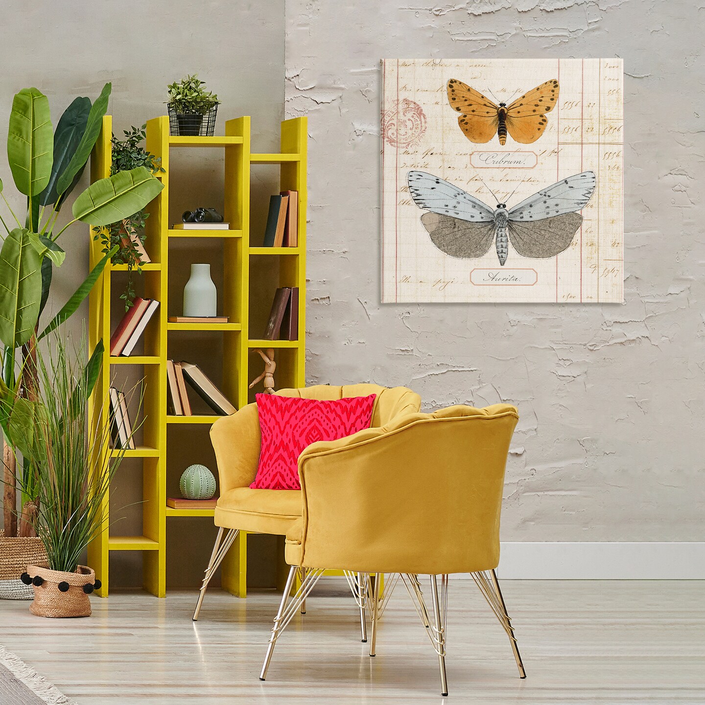 Stupell Industries Vintage Butterfly Specimen Canvas Wall Art Design by Susan Arnot