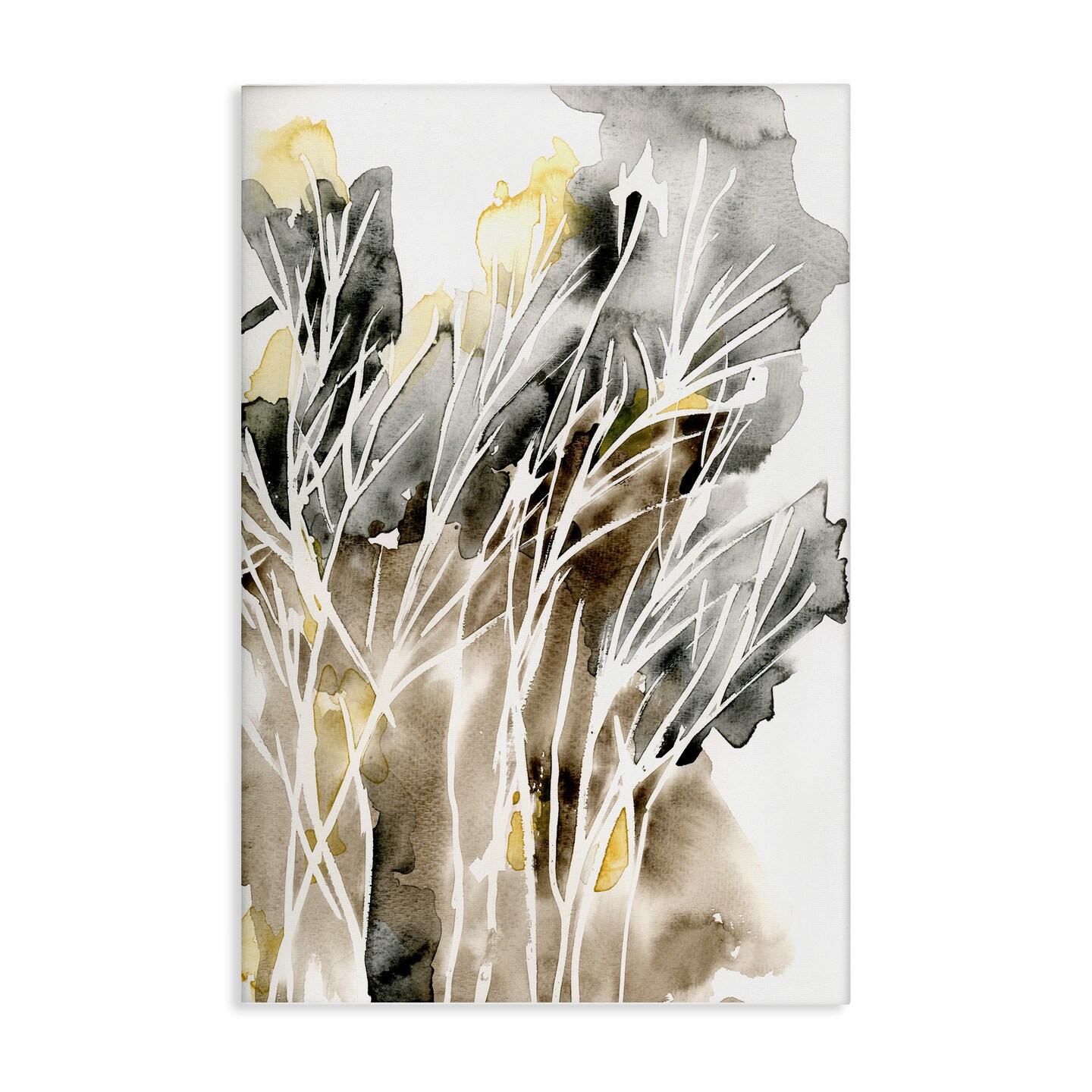 Stupell Industries White Strands Watercolor Canvas Wall Art Design by Regina Moore