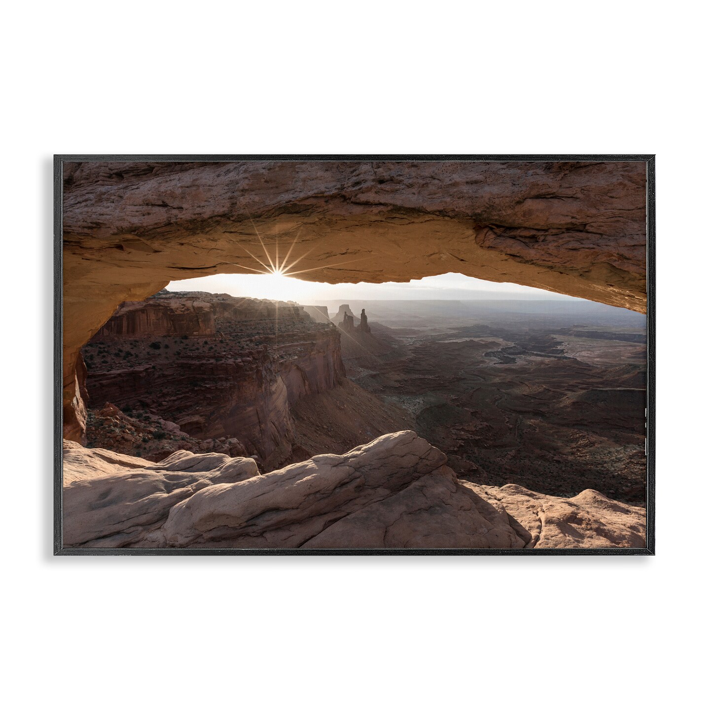Stupell Industries Peeking Through Desert Arch Framed Giclee Wall Art Design by Danita Delimont