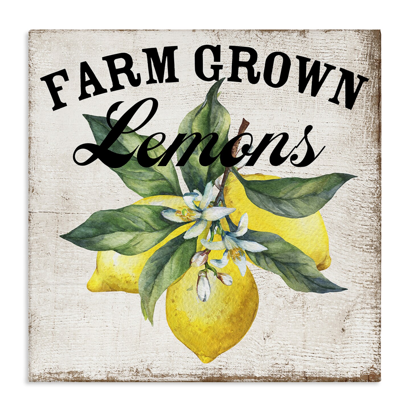 Stupell Industries Farm Grown Lemons Canvas Wall Art Design by Creatif Belle