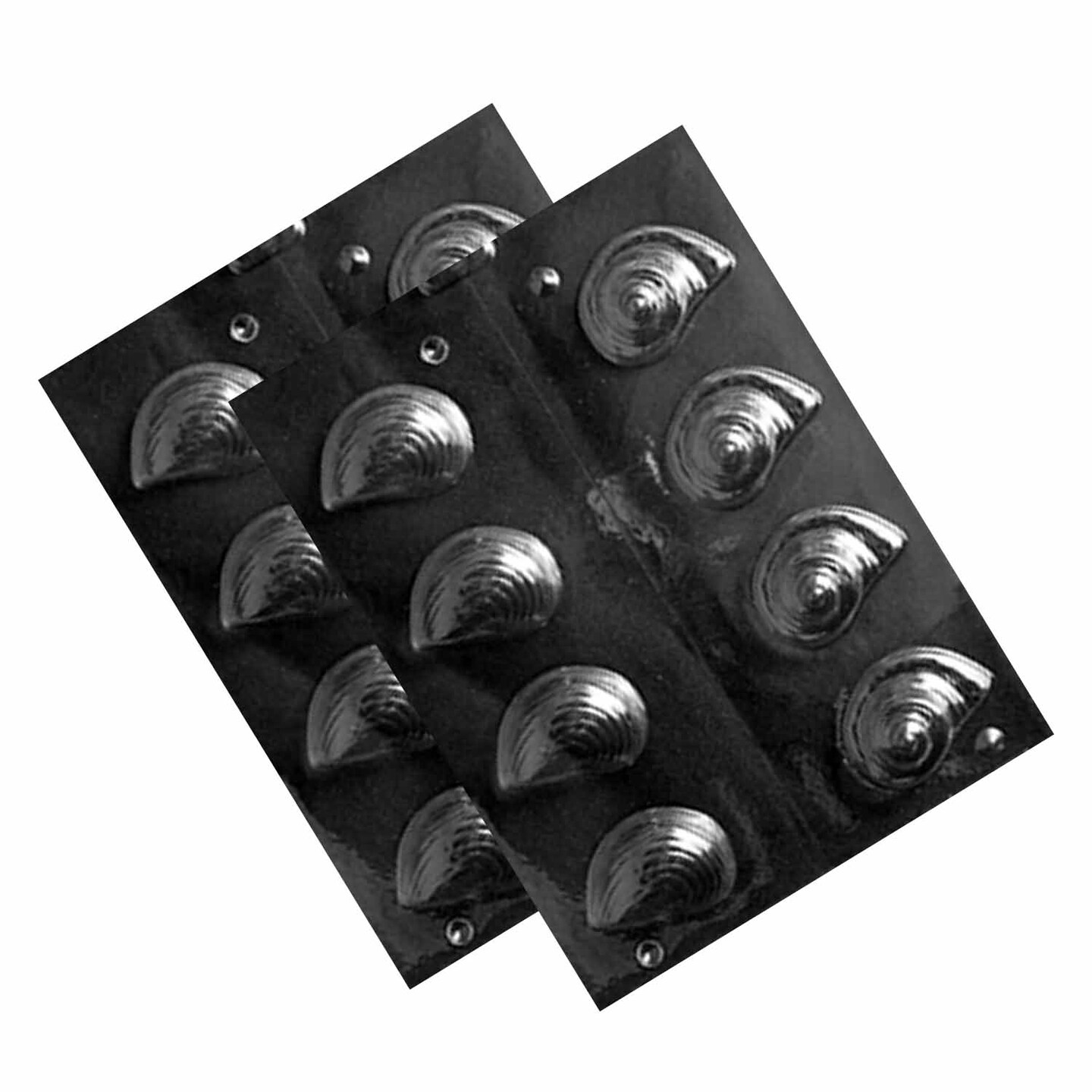 3D Shells Chocolate Mold Nautilus Shaped Candy Mold