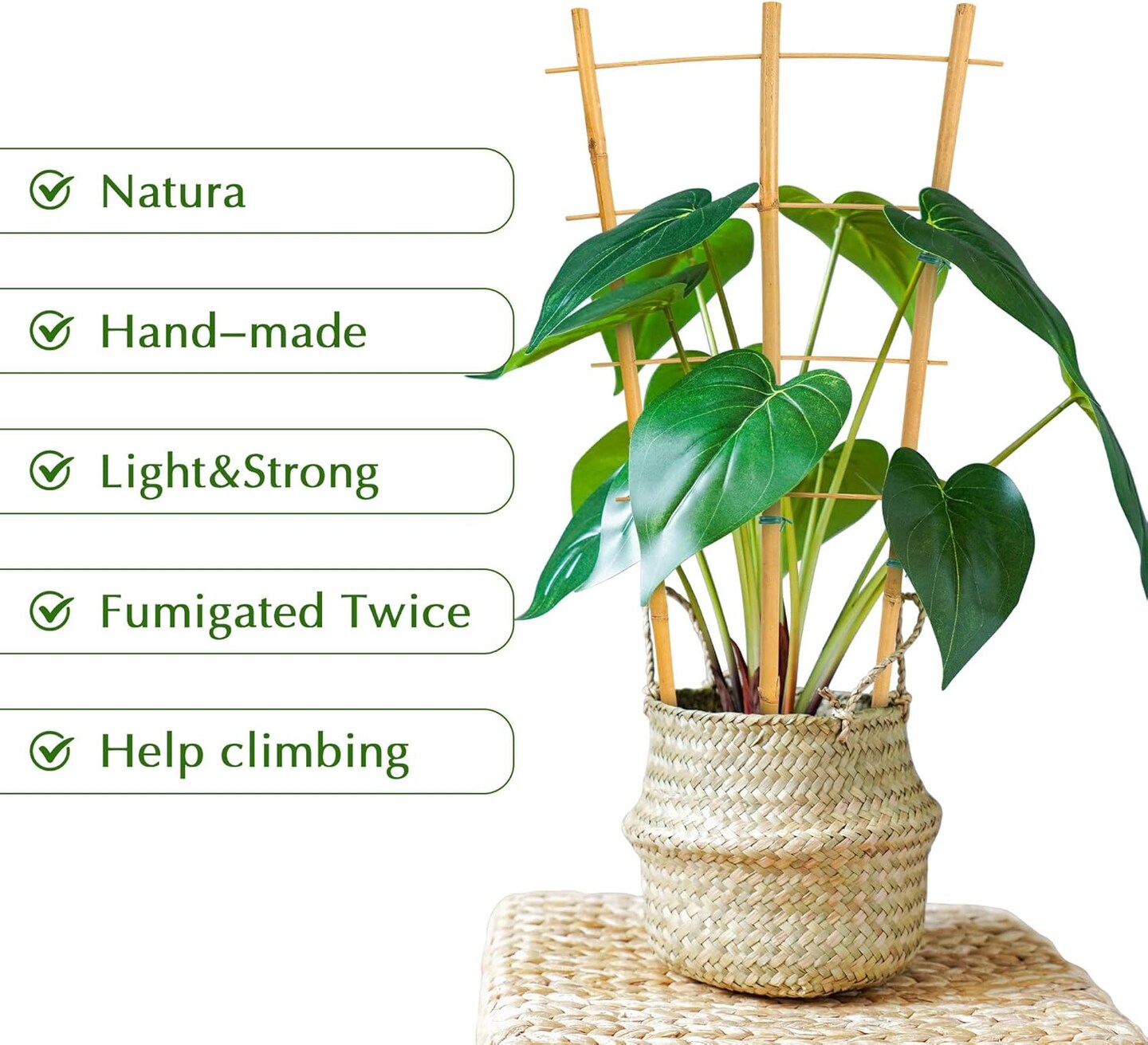 24pack 16 Inch Small Plant Wood Bamboo Trellis for Climbing Plants Indoor Potted Plants