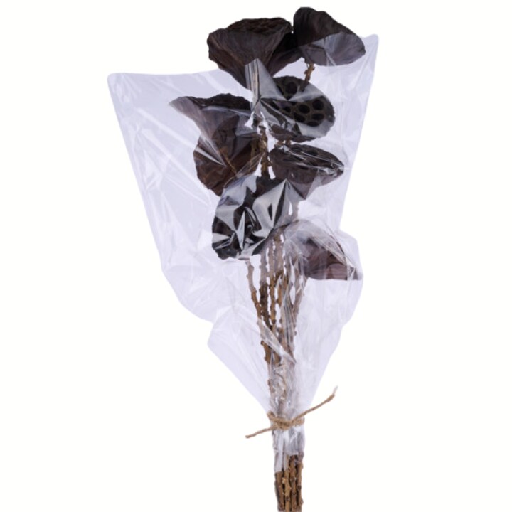 Natural Dried Lotus Pod Stems | 23.5" Craft Supply Bundle for Rustic Floral Arrangements-TT3068