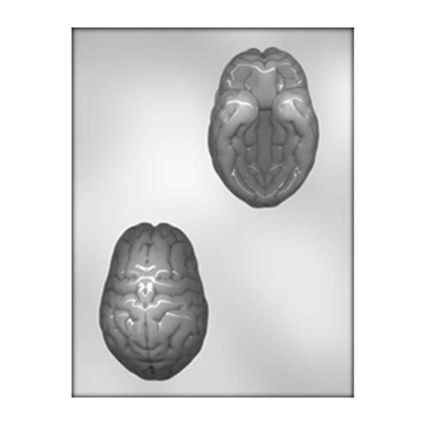 4&#x22; 3D Brain Mold