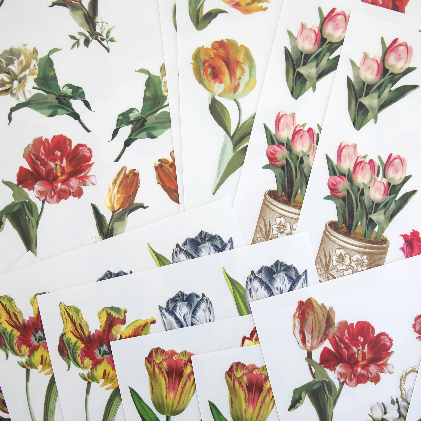 Tulip Rub On Transfers