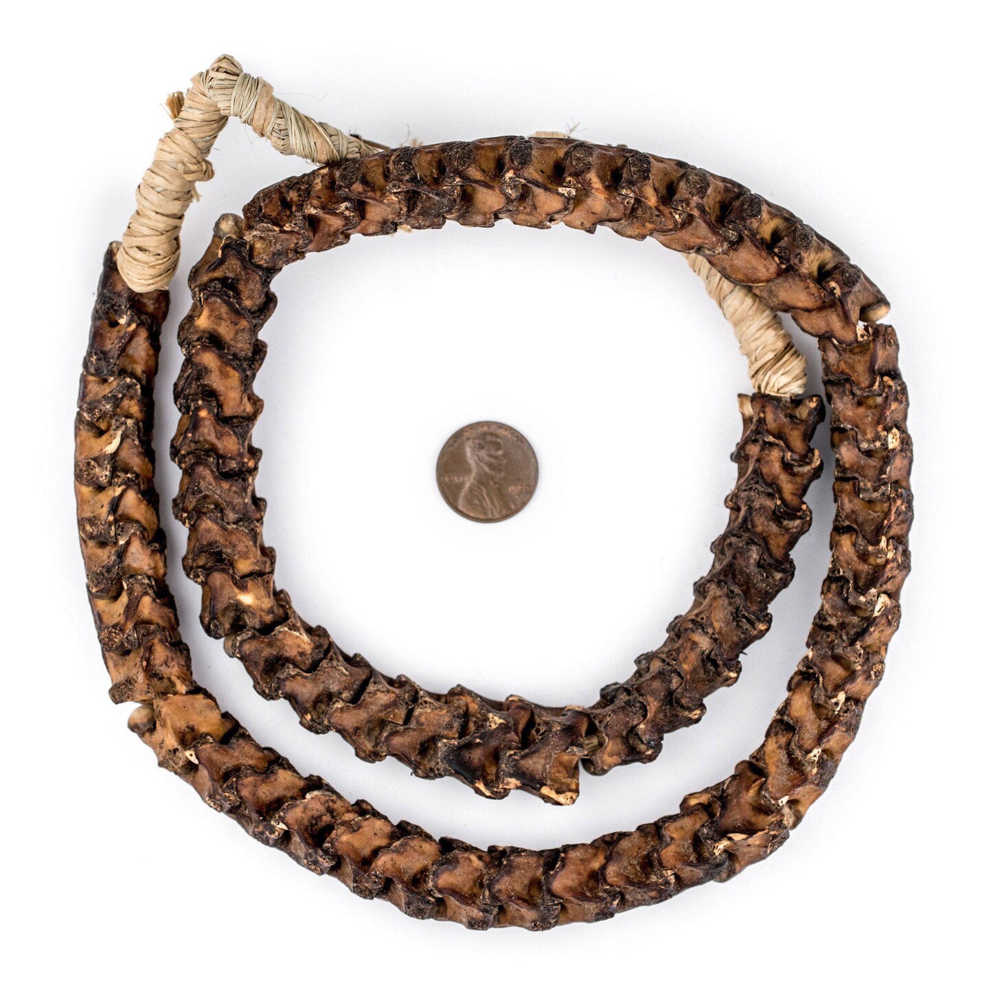 The Bead Chest Real Snake Vertebrae Beads from Africa Extra Large 18mm Nigeria African Brown Interlocking Bone Large Hole 32-34 Inch Strand