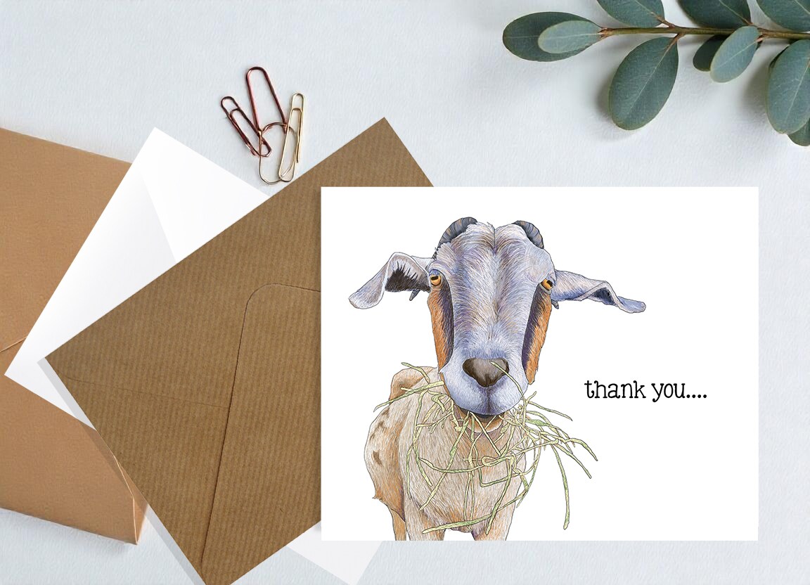 A2 CARD SET - Nibbles Thank You Cards - Discover Farmhouse Whimsy