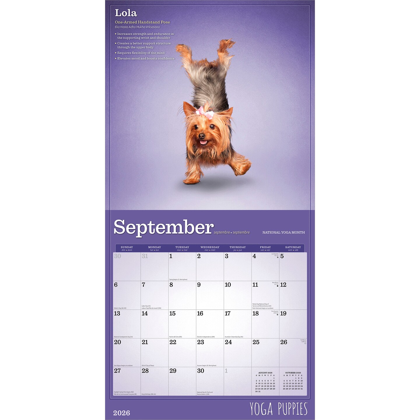 Yoga Puppies OFFICIAL | 2026 12 x 24 Inch (Hanging) Monthly Square Wall Calendar