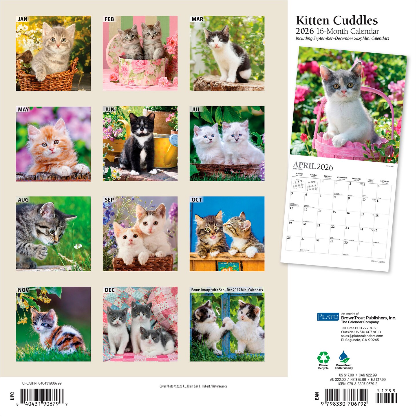 Kitten Cuddles | 2026 12 x 24 Inch (Hanging) Monthly Square Wall Calendar | Foil Stamped Cover