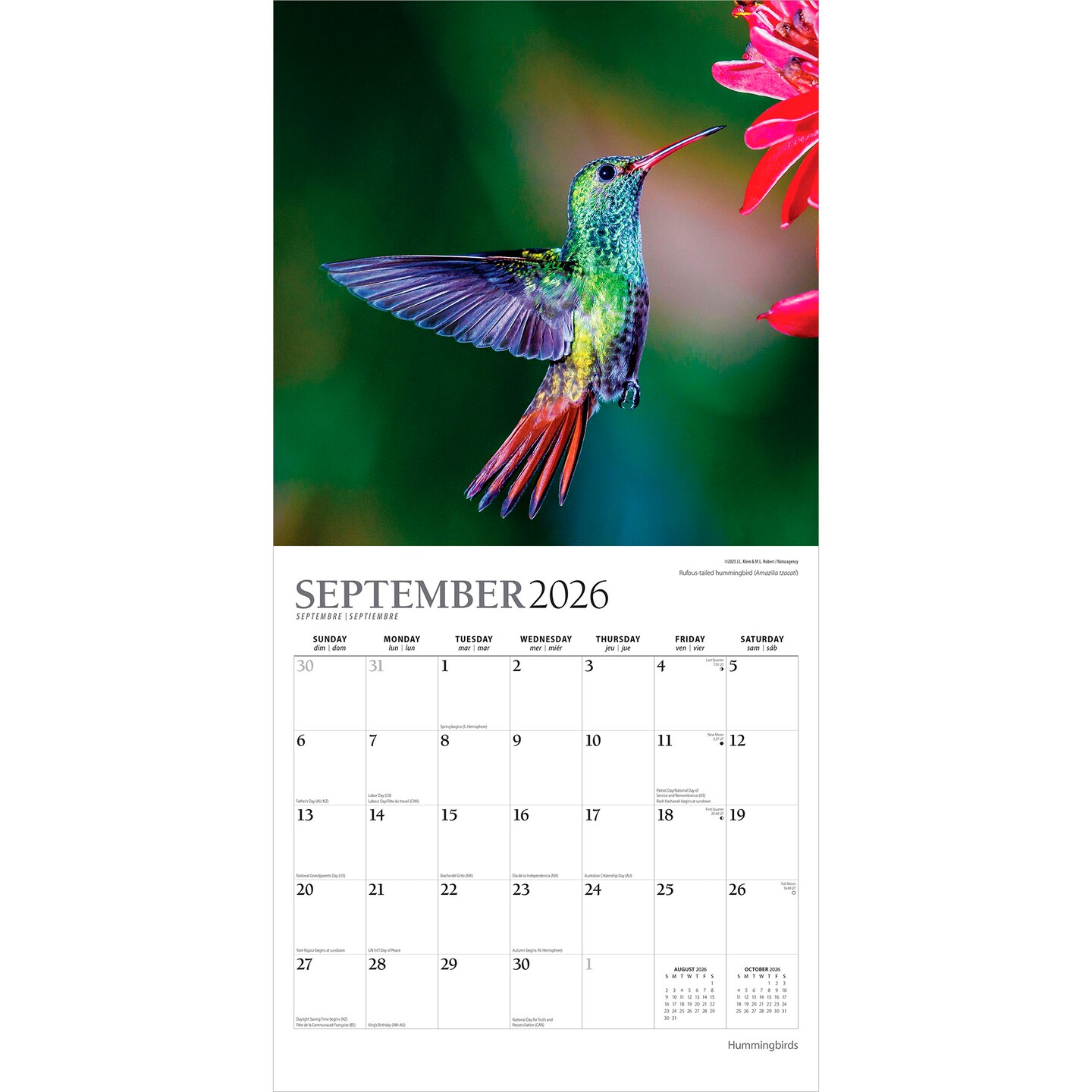 Hummingbirds | 2026 12 x 24 Inch (Hanging) Monthly Square Wall Calendar | Foil Stamped Cover