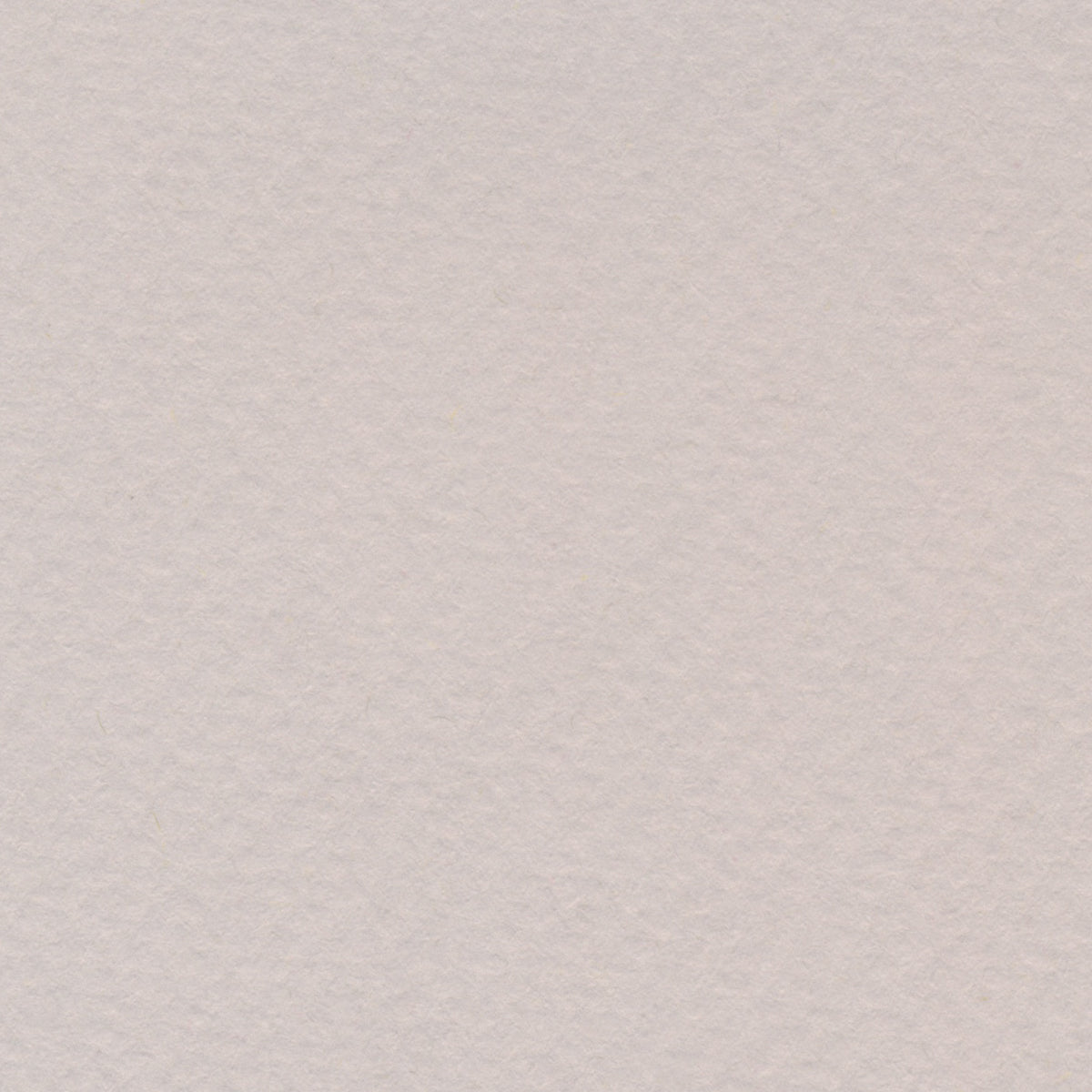 BEE | Pastel Paper Series