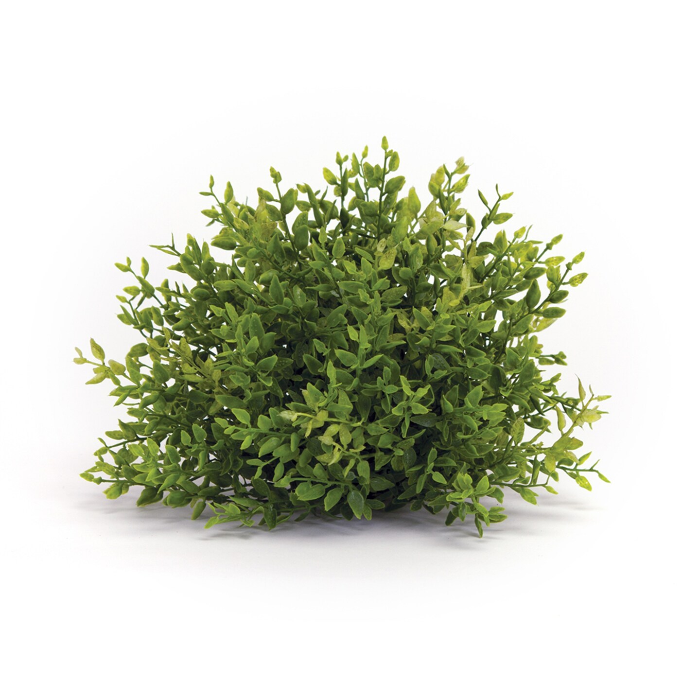 Melrose Set of 6 Half Orbs Mini Leaf Artificial Shrubs 7&#x201D;
