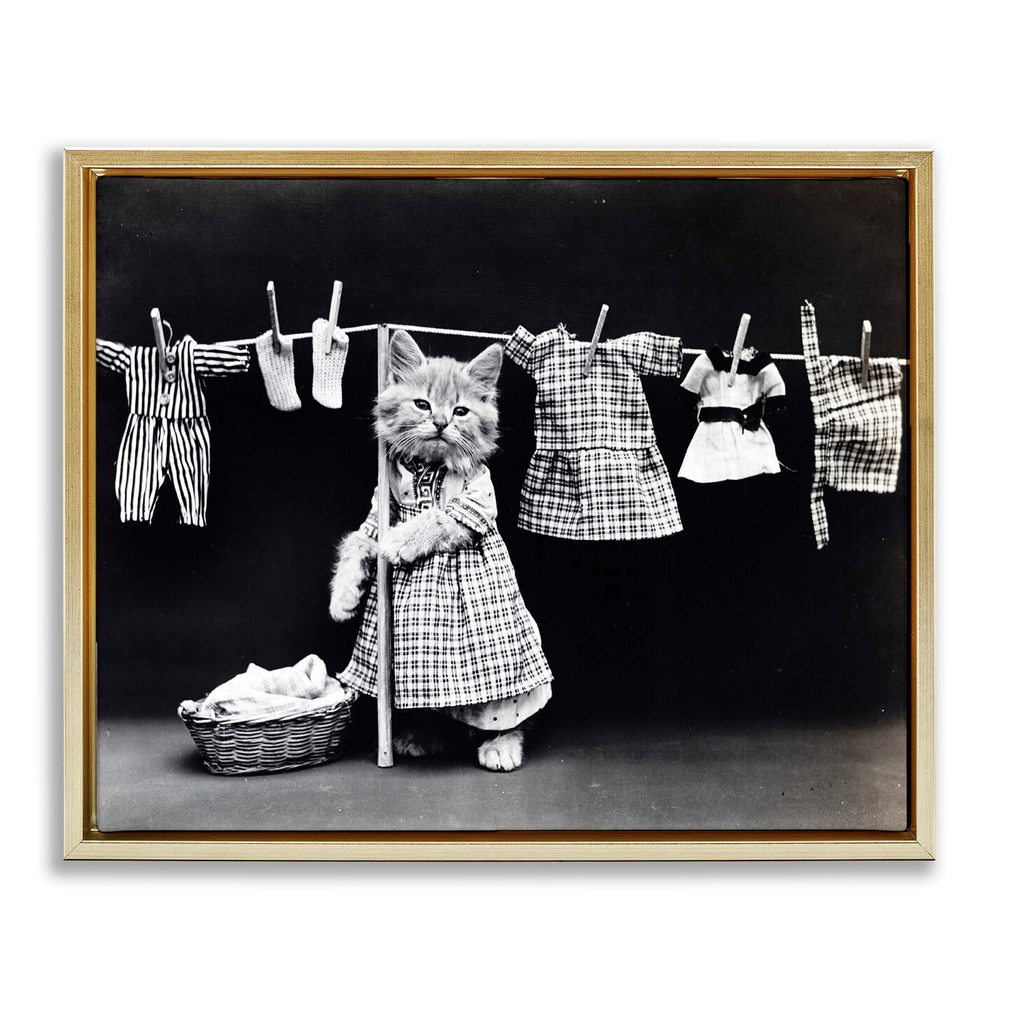 Stupell Industries Kitten Does The Laundry Framed Floater Canvas Wall Art