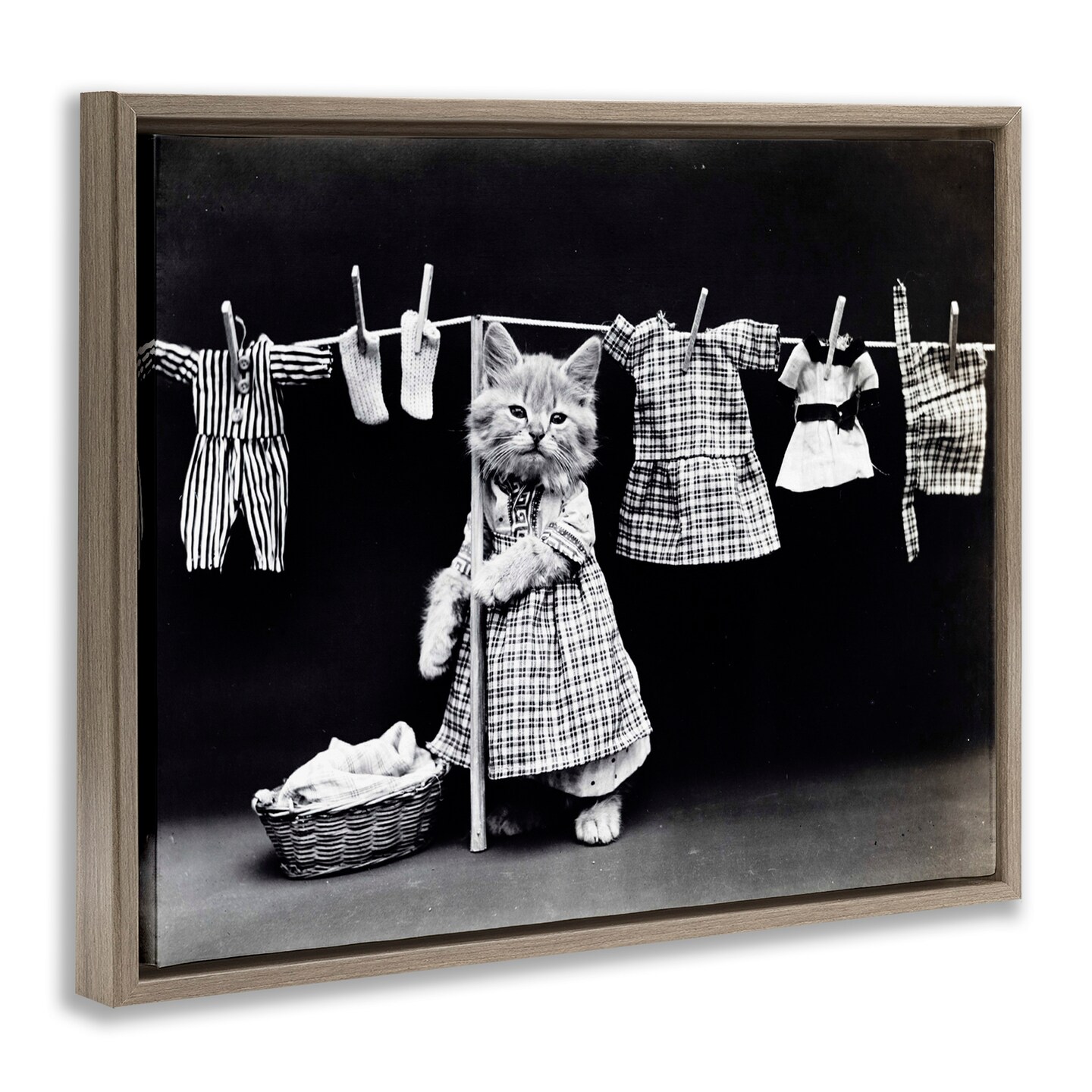 Stupell Industries Kitten Does The Laundry Framed Floater Canvas Wall Art
