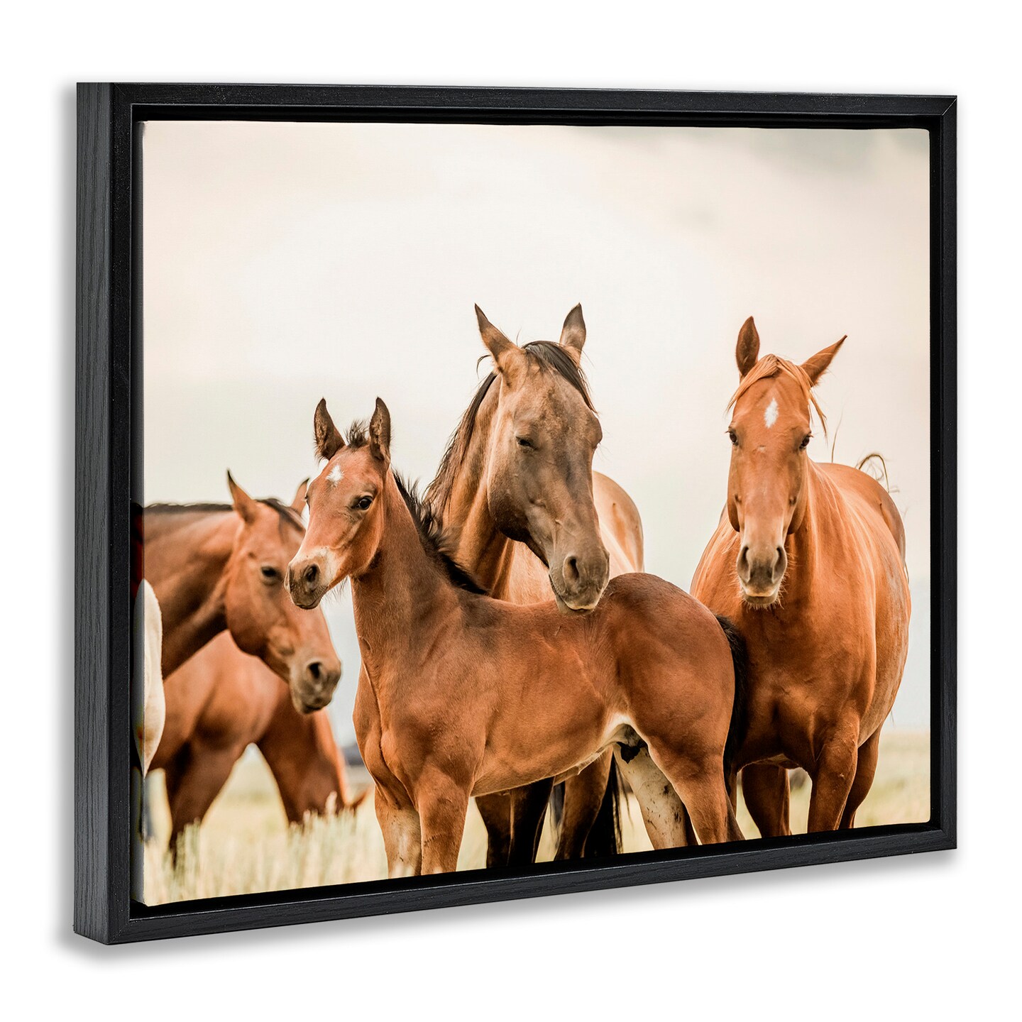 Stupell Industries Horse &#x26; Foals Photography Framed Floater Canvas Wall Art