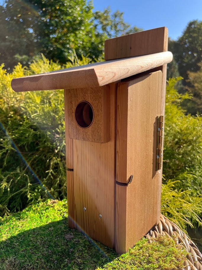 Birdhouse &#x22;Marigold&#x22; - Wood Nesting Box - Sneak-A-Peek Window