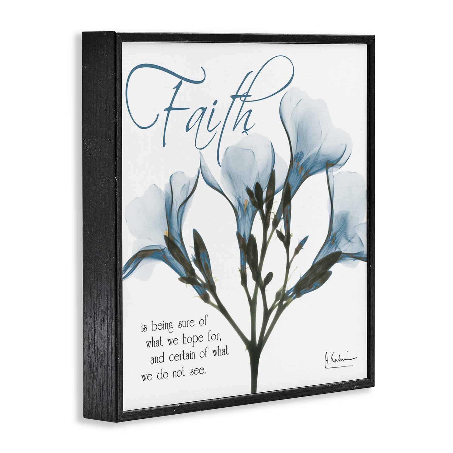 Stupell Industries Faith Phrase Flower Silhouette Framed Giclee Art