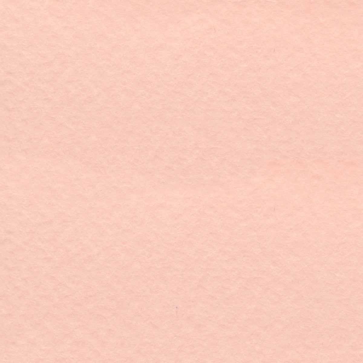 BEE | Pastel Paper Series